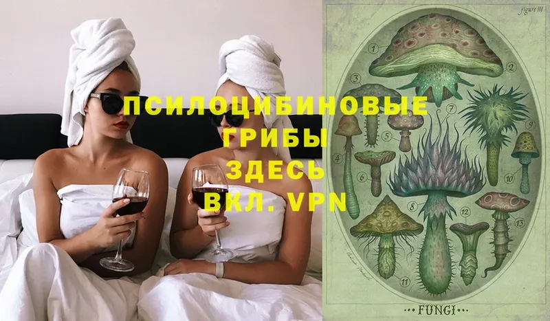 Псилоцибиновые грибы Cubensis  Жуков 